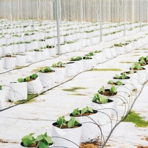 Aquaponics For You