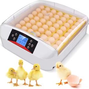 HHD LED Lights 56 automatic chicken goose egg incubator Machine