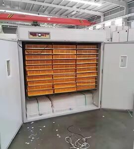5280 chicken egg incubator Automatic egg hatching incubator egg setter HJ-IH5280